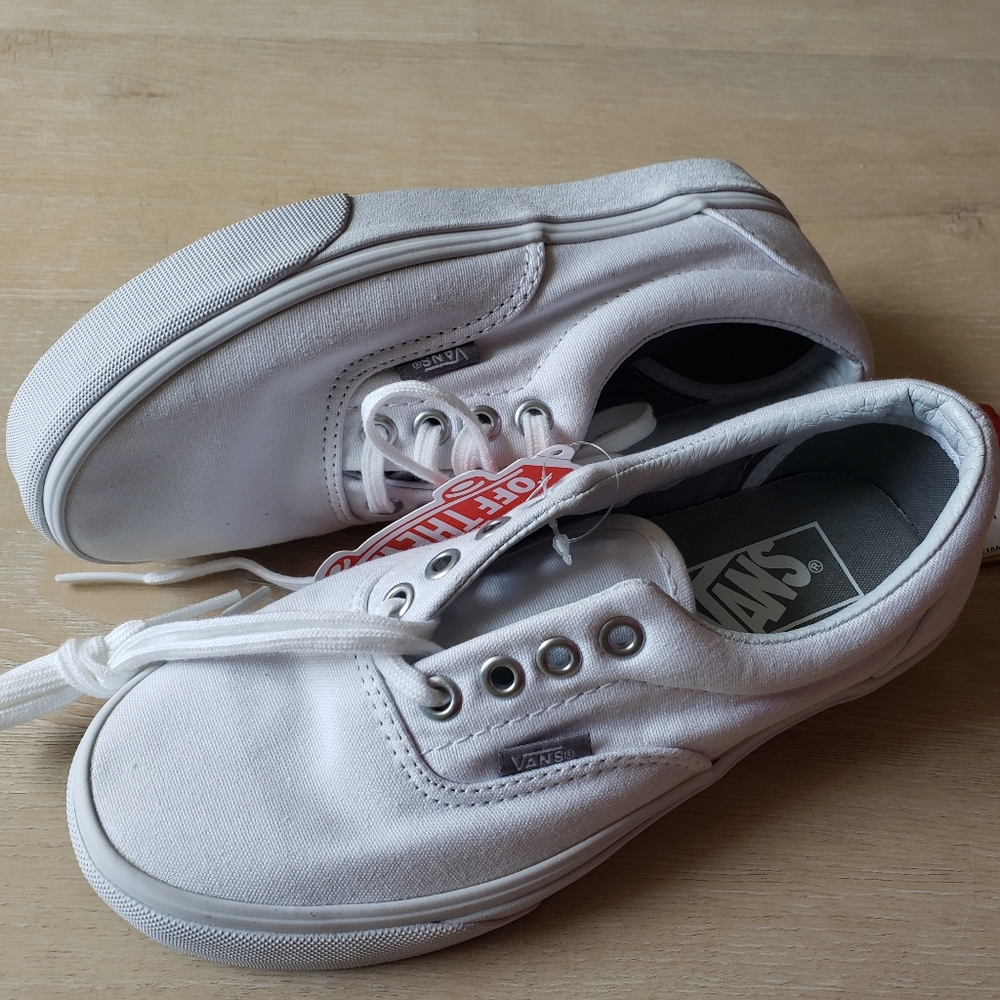 Classic Van's ERA shoes